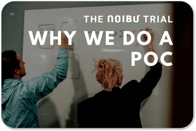 Noibu's Proof of Concept